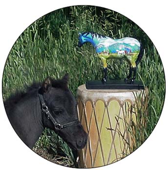 Painted Pony with miniature horse